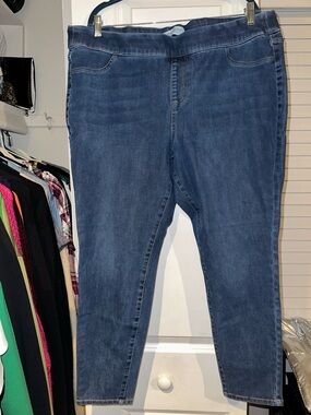 Lane Bryant Midwash Blue Stretch Denim Jeggings